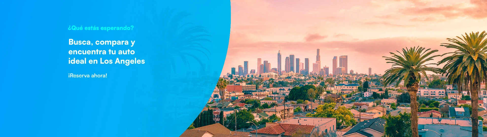 Banner Miami