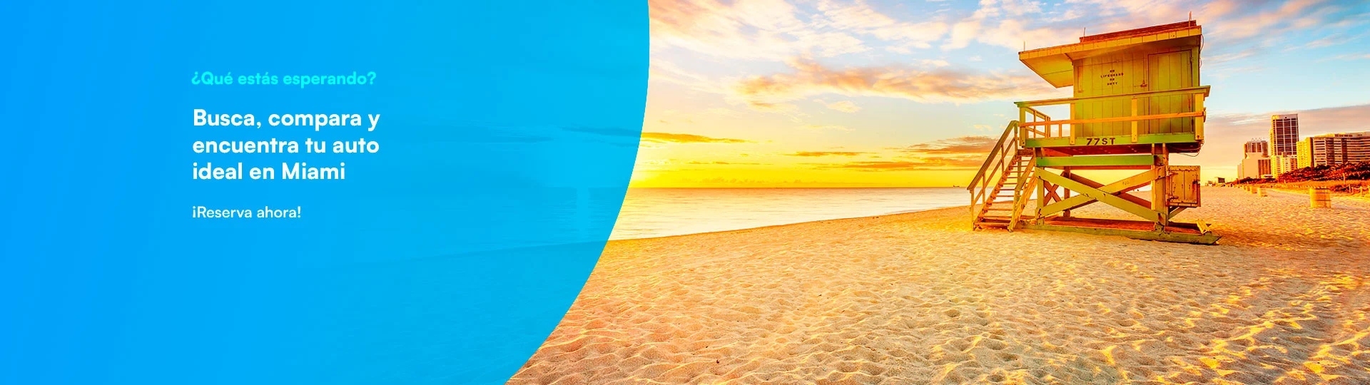 Banner Miami